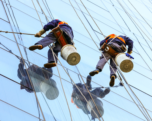 高空外墙清洗遇到鸟巢或蜂窝怎么办？—北京外墙清洗公司
